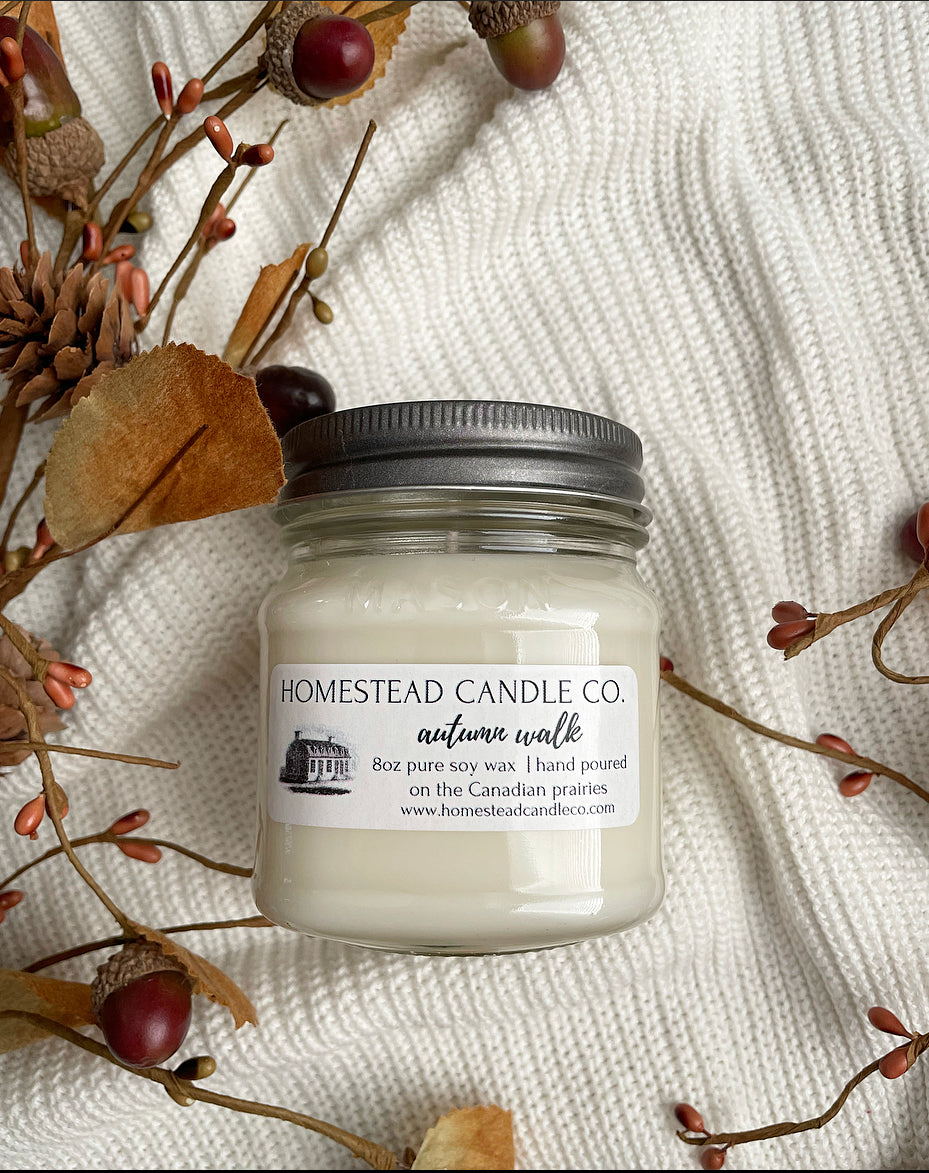 Autumn Walk