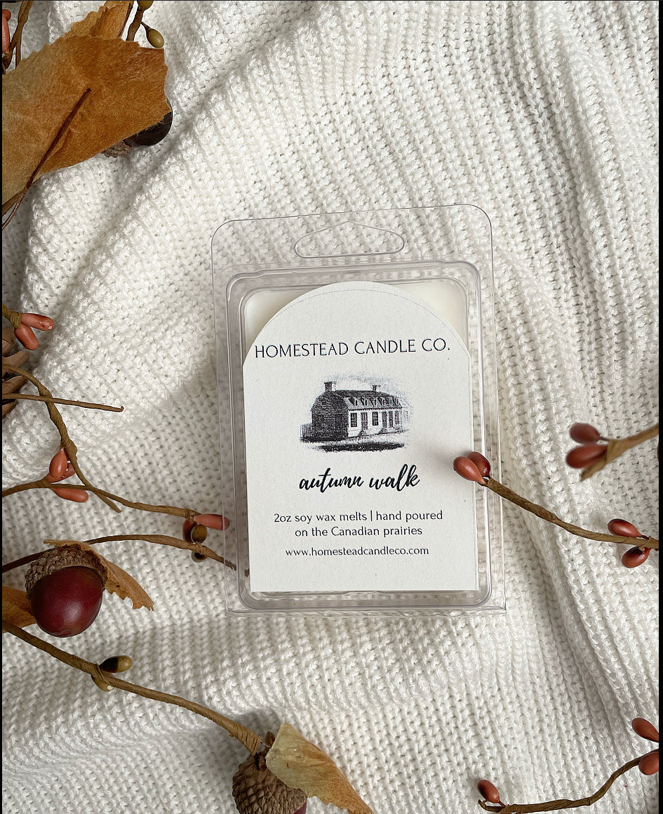 Autumn Walk