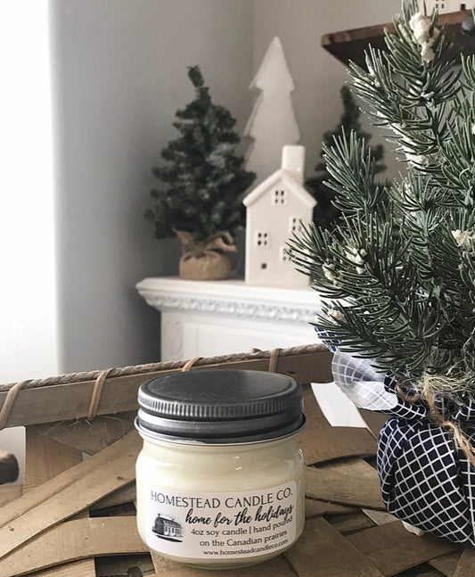 Home for the Holidays