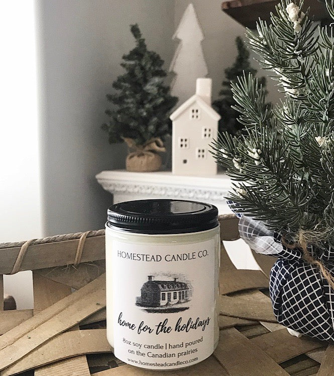 Home for the Holidays